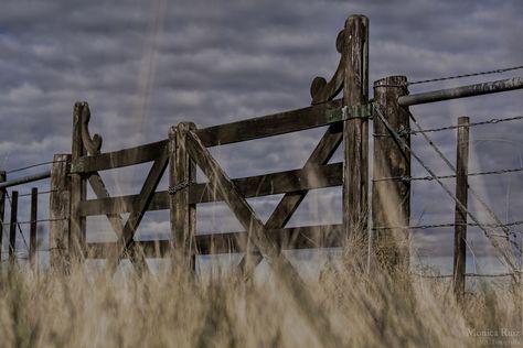tranquera campo