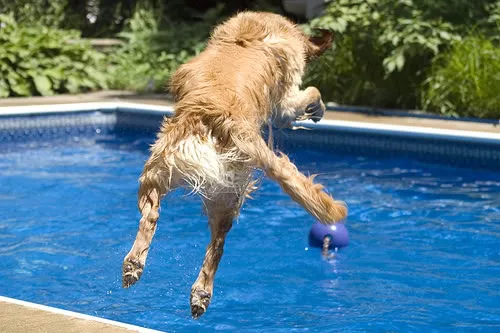 bfa2876665830cfe42b9d2881b73b4df--vivre-joie (1)