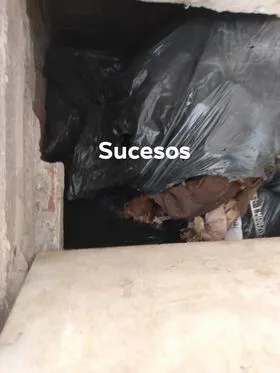 380349705_1621768298317196_3539423373783594475_n