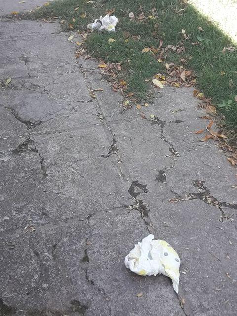 163823973_833795627172667_2395369315081452897_n