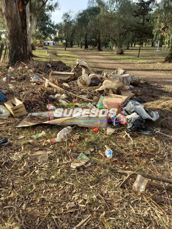 282192647_544921070331691_1185229828677632363_n