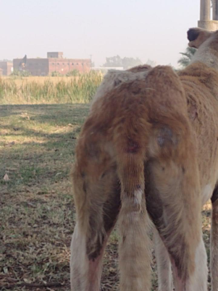 271716232_1839734746215606_1443778274872313013_n