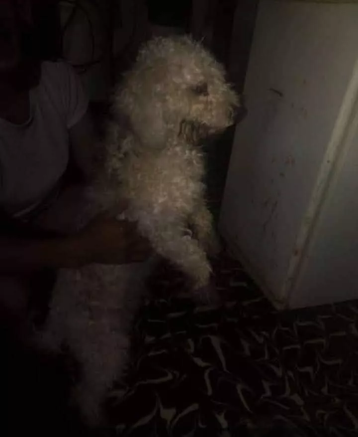 288629475_809142573400375_1191928912491397615_n