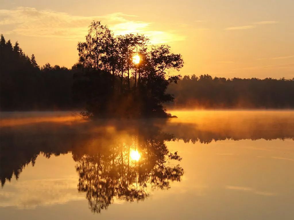 0404a24d7049a13b8aa0fea3d920de25