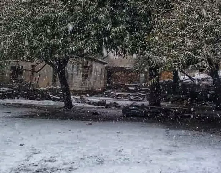 182594258_4243105875719797_2271499042283536830_n