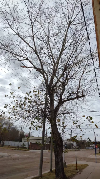 289584773_569472041285787_2346816869732407143_n