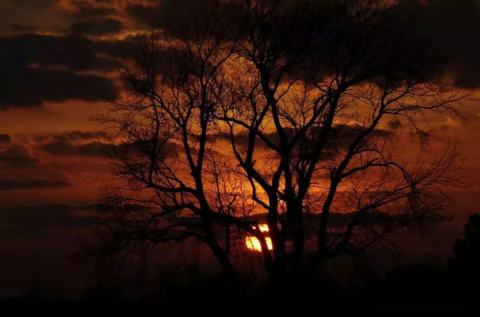 23de6d74a9e22bae1f444a79e88715ad