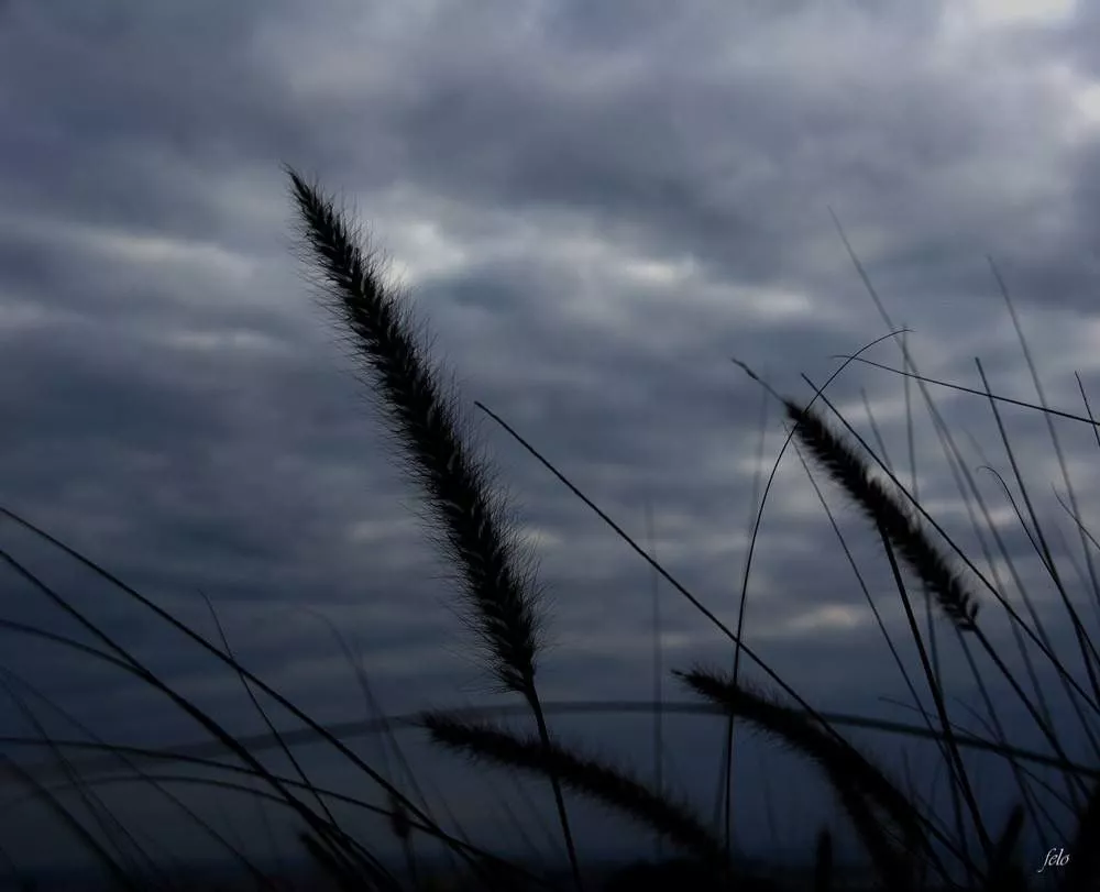 9b77fbec5620a22b9786aaf0e6acc135