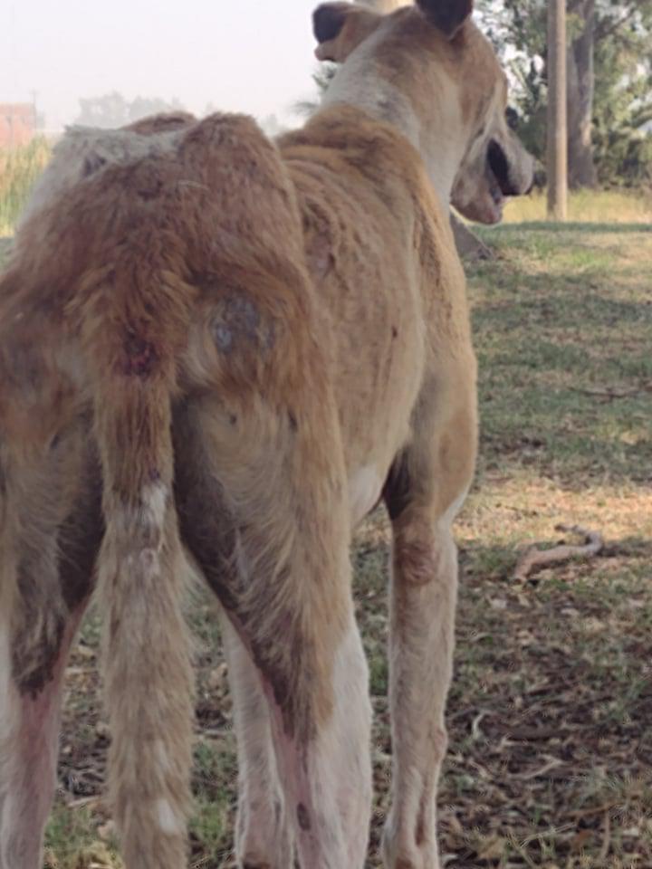 271543021_320728133283124_7682130411037983628_n