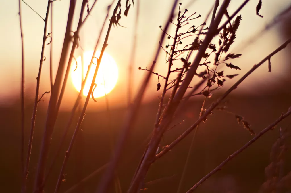 4623762477_427c97c5f3_b