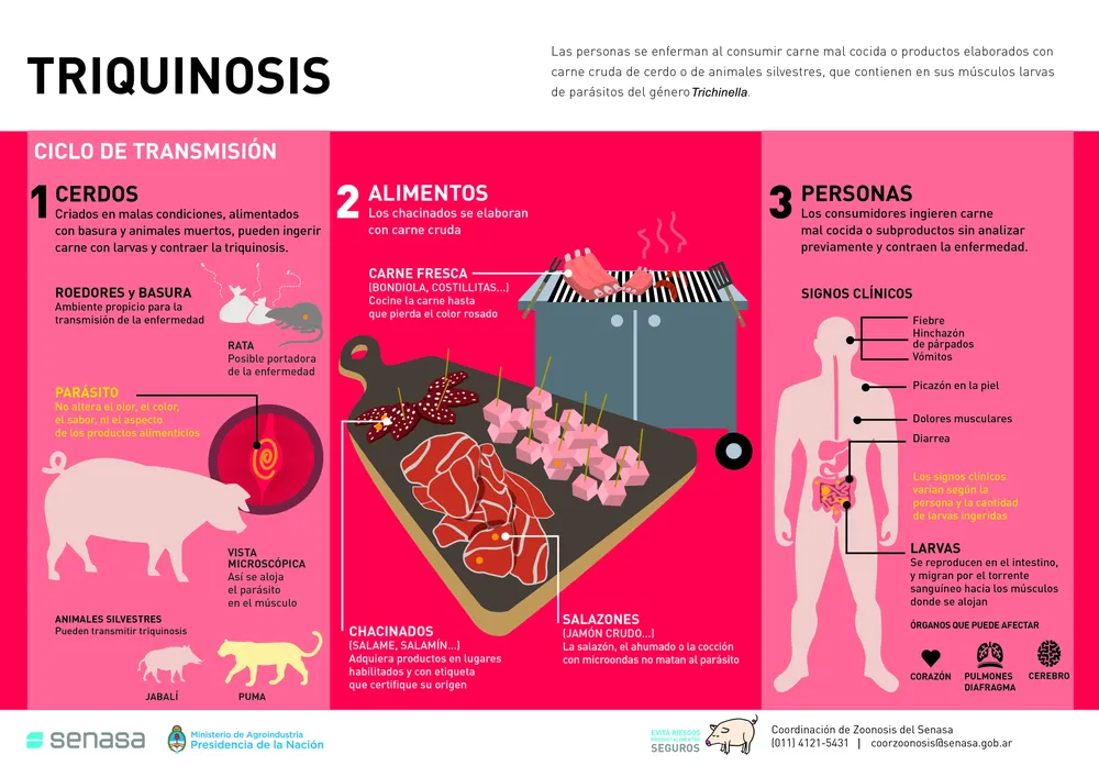 infografia_11-05-17_0
