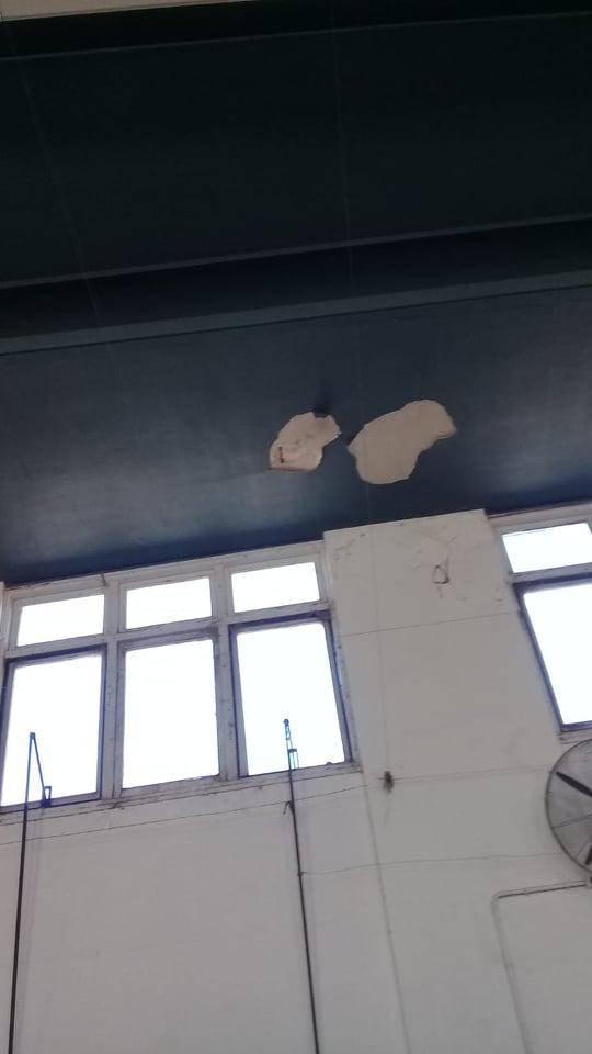 243523240_1199068920572665_3621239800886757706_n