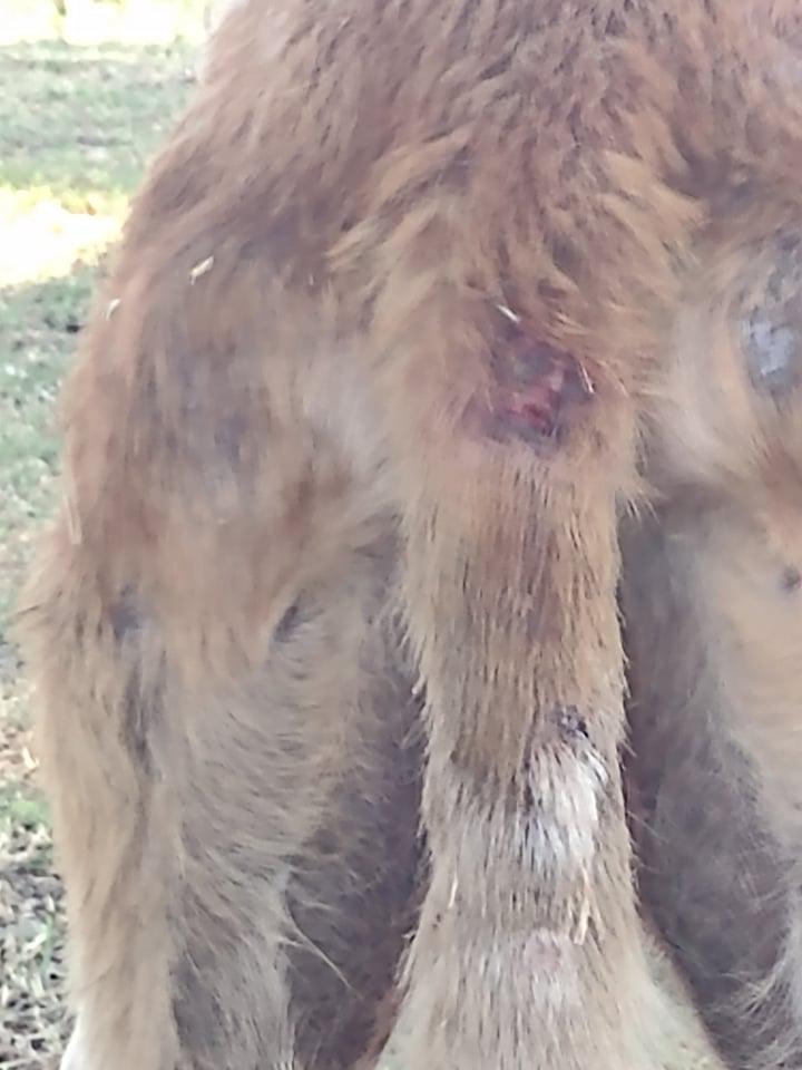 271392186_506710934212201_110242091516454800_n