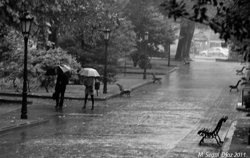 _MG_9619.800BN.05-11-2011