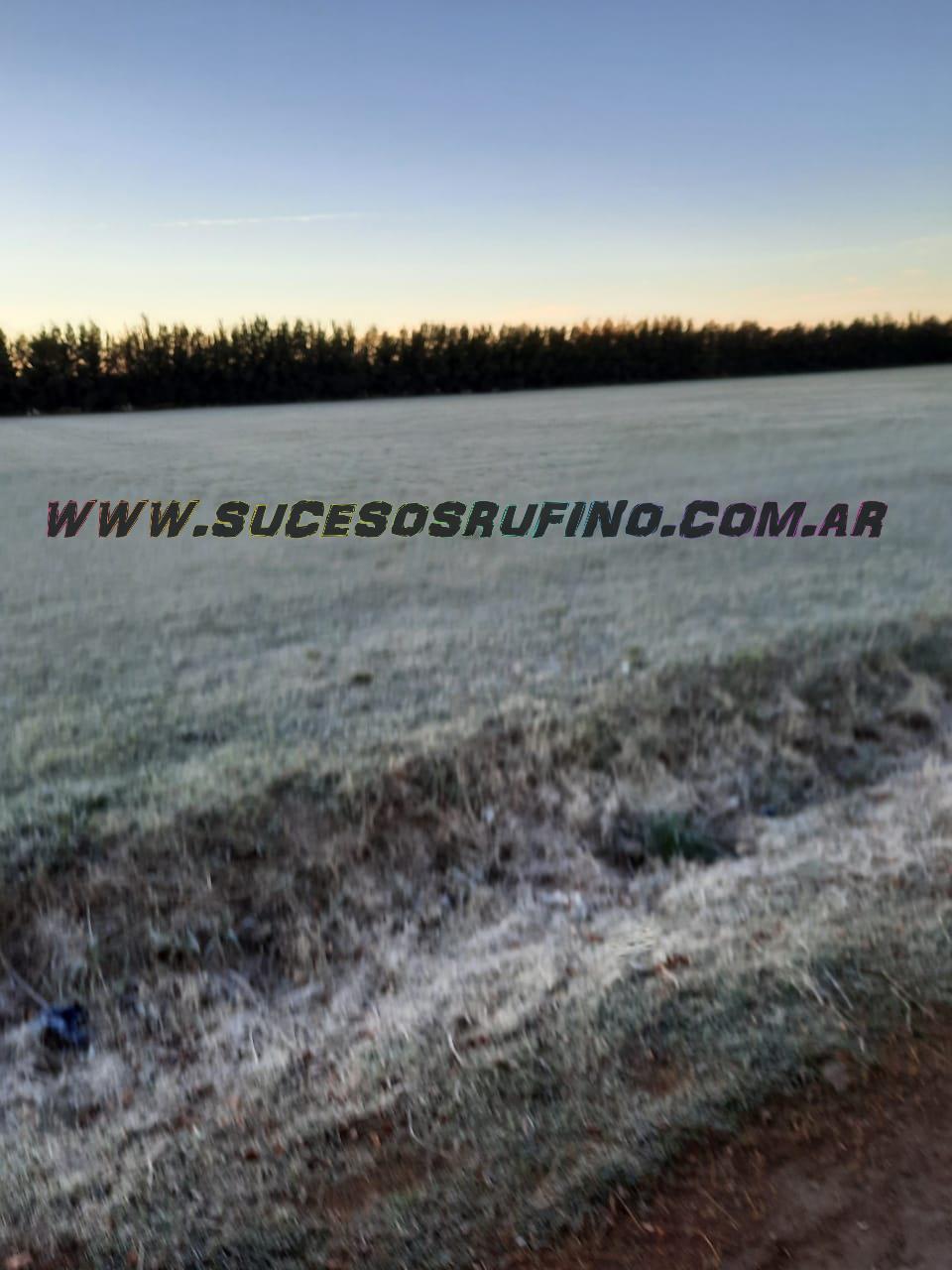 IMG-20210511-WA0001 1