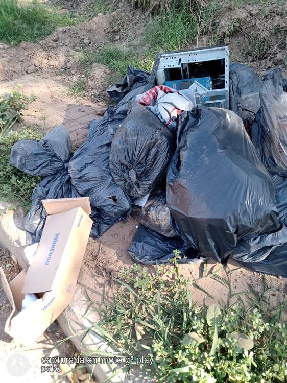 154736702_266172825129237_1682309725116816928_n