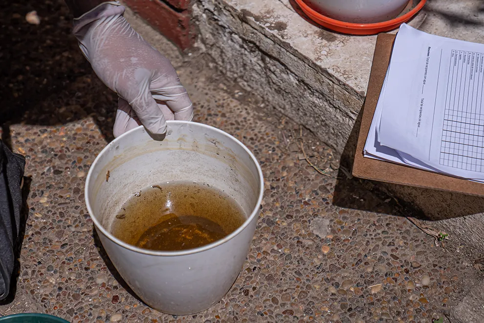 Monitoreo-Aedico-2023_7