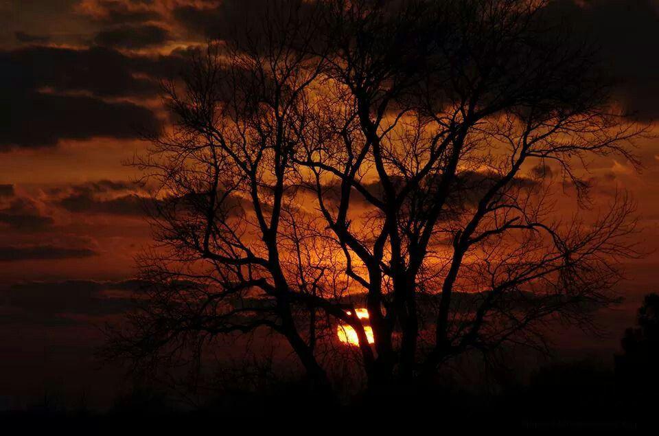 23de6d74a9e22bae1f444a79e88715ad