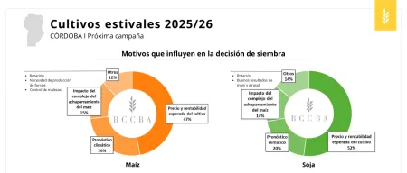 diagrama-el-contenido-generado-por-ia-puede-ser-i-450x192