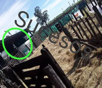 prueba 1
