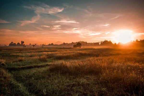 amanece nb