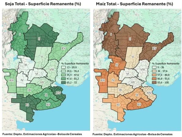 soja-y-maiz-remanente-cosecha