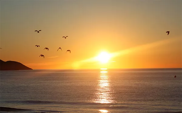 palomas-amanecer-2-copia