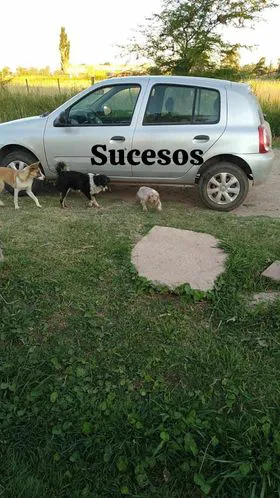 380331399_350660564293780_339733095517432320_n