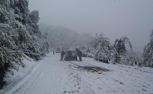 autos-en-la-nieve