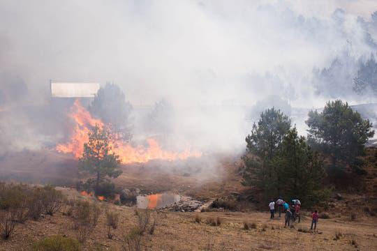 incendio-en-cordoba-1767098h360