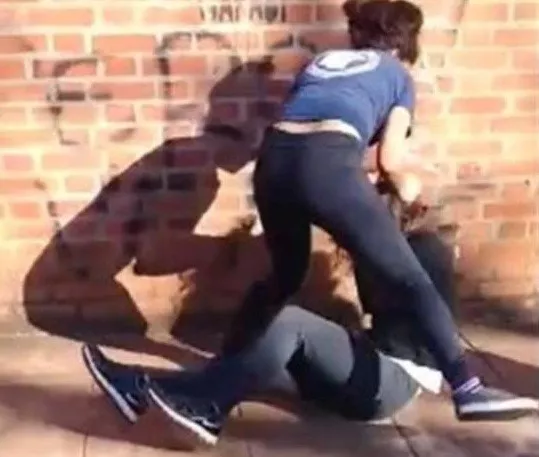 pelea
