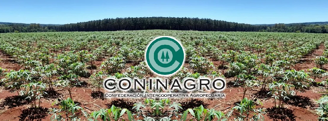 CONINAGRO-PIDE-MEDIDAS1