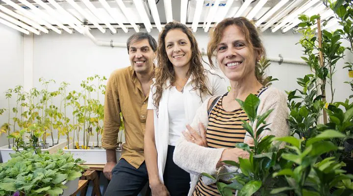 Equipo_8-720x400