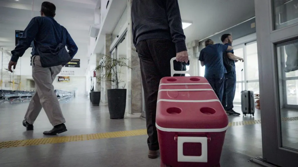 WhatsApp-Image-2025-11-04-at-10.42.52-1024x576