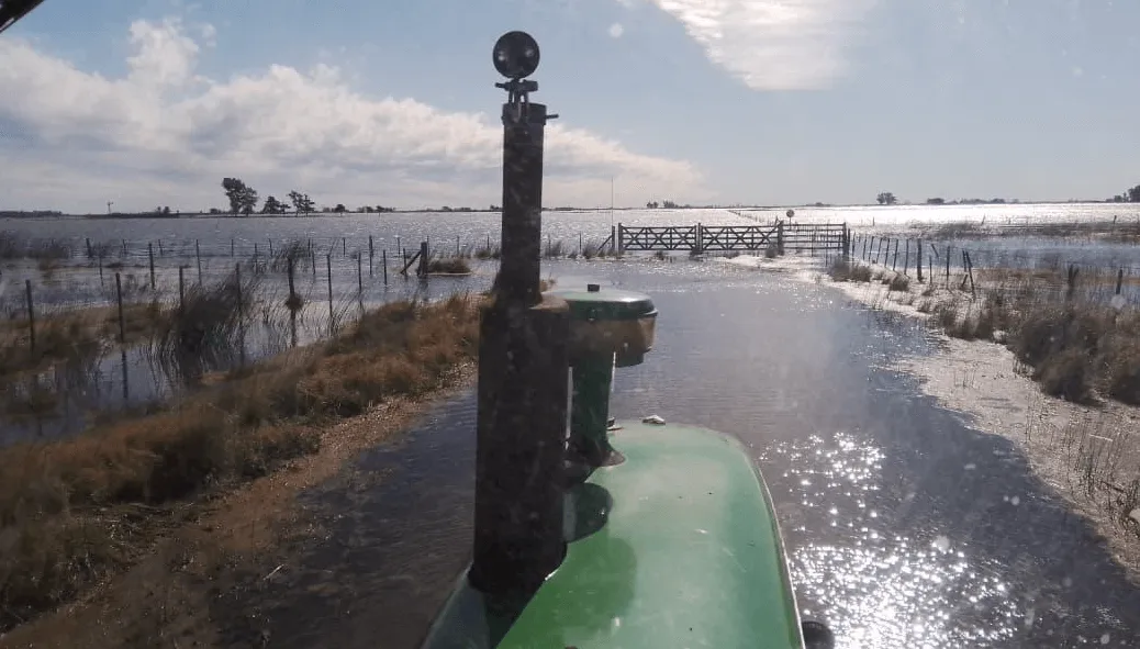 campo-inundado-pato-gorza