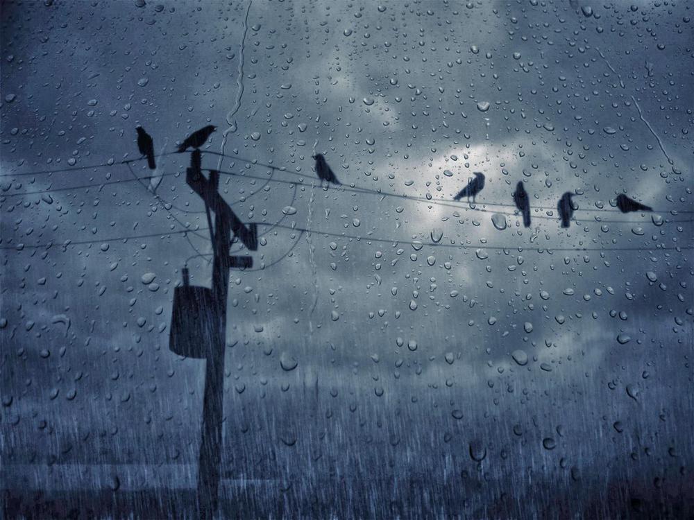 la-lluvia-wallpapers_33493_1600x1200