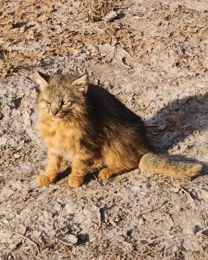 WhatsApp-Image-2024-06-04-at-09.13.37-819x1024