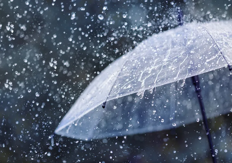 lluvia w