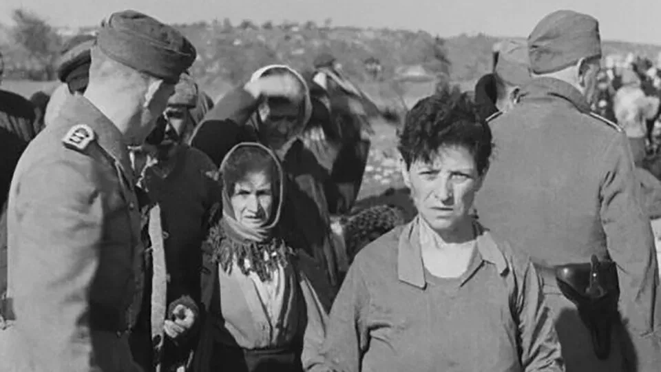 751943-imagen-20de-20whatsapp-202023-07-28-20a-20las-2015-40-35