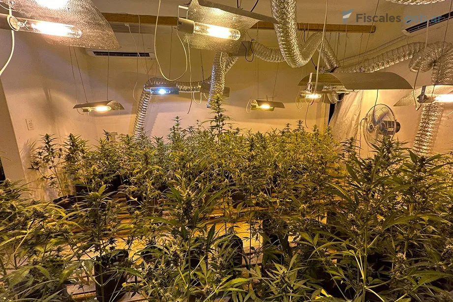 WhatsApp-Image-2025-03-12-at-2.56.17-PM