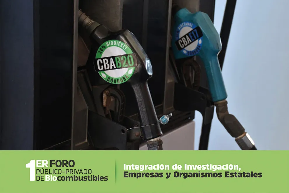 WhatsApp-Image-2024-09-16-at-16.46.30