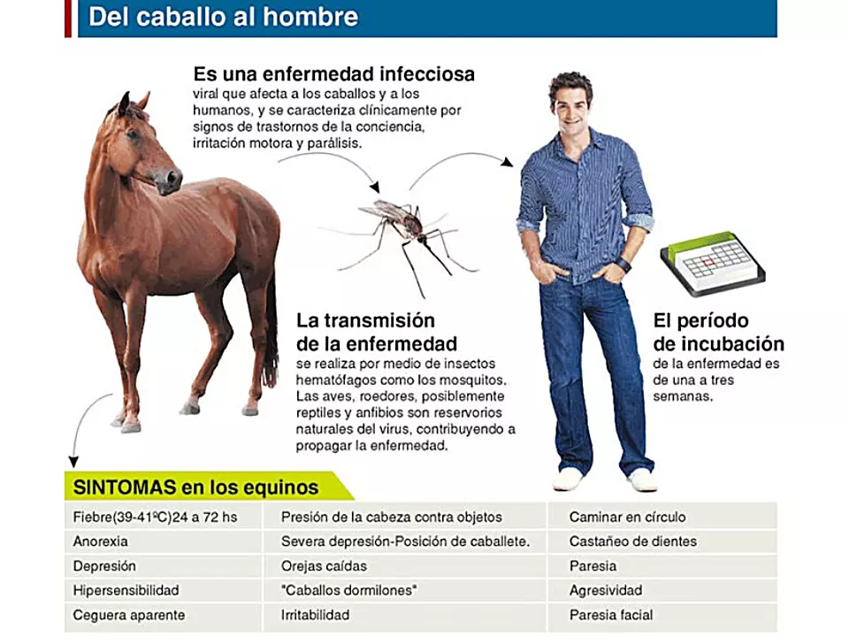 LBP_encefalosíntoma