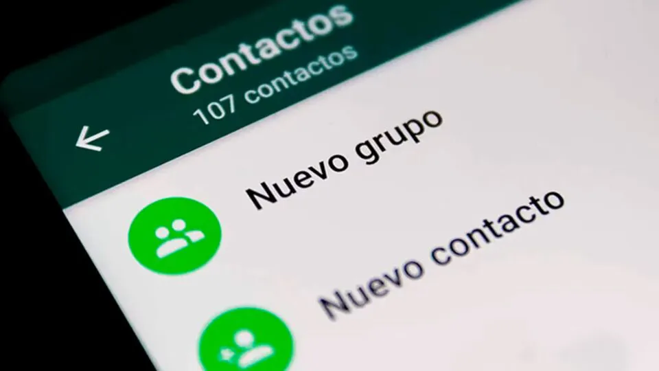 grupo whatsapp