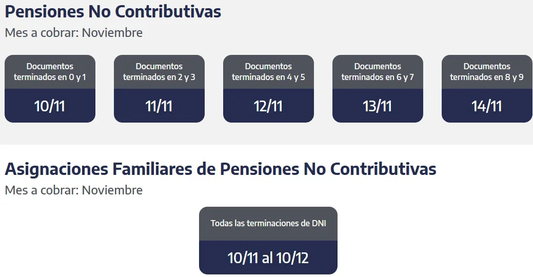 Captura de pantalla_31-10-2025_164327_www.anses.gob.ar