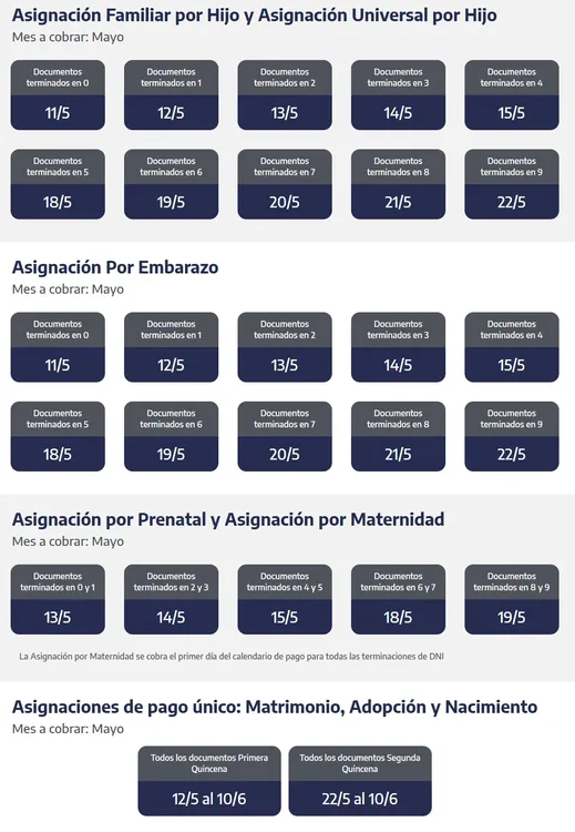 Captura de pantalla_6-5-2026_82954_www.anses.gob.ar