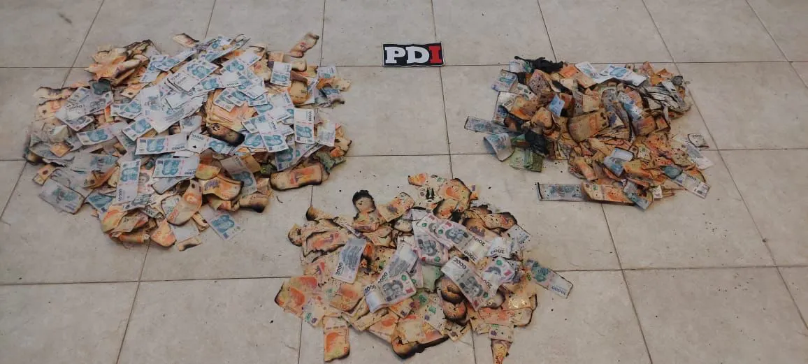 2024-11-29NID_281805O_1