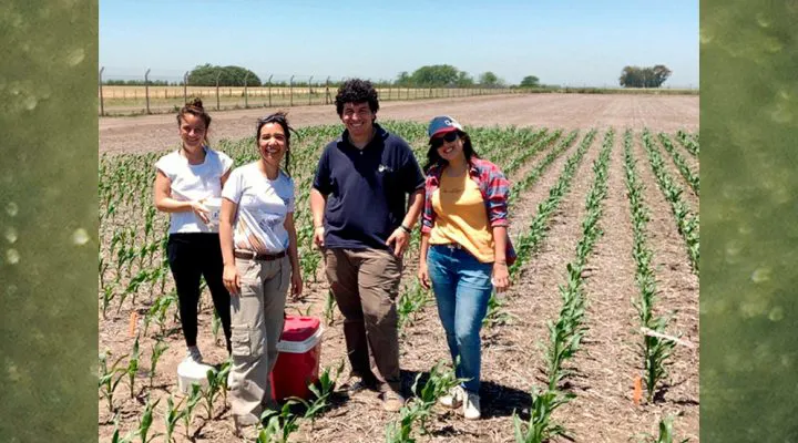 Chicharrita-02-web-720x400