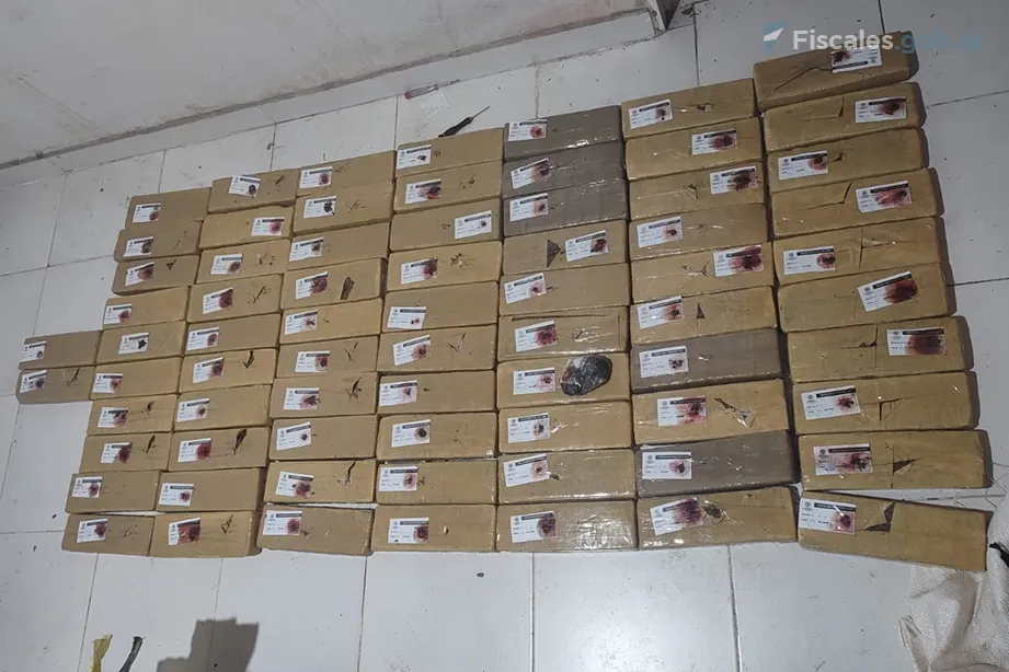 WhatsApp-Image-2025-06-23-at-10.02.35-AM-1