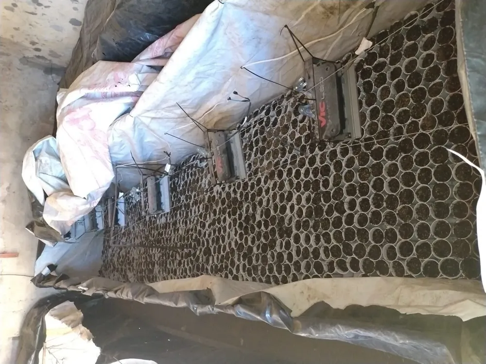 2025-09-14NID_284074O_3