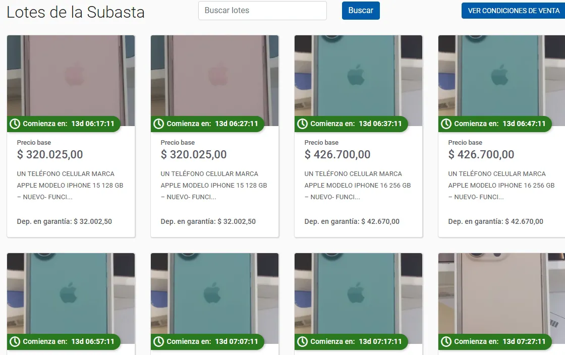 Captura de pantalla_2-1-2026_10249_subastas.bancociudad.com.ar